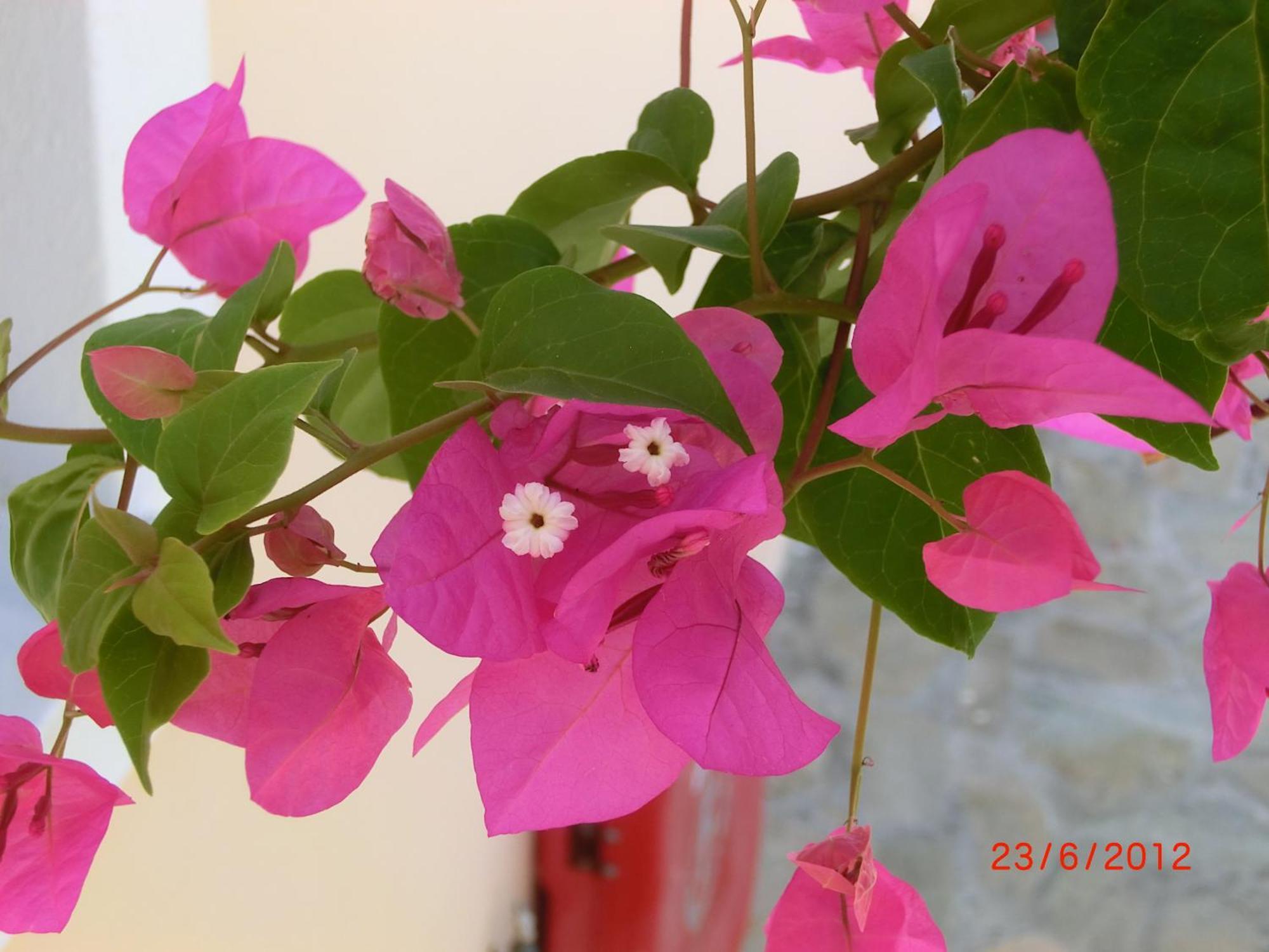 Aegean View Hotel Kamári Dış mekan fotoğraf